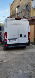 Ducato