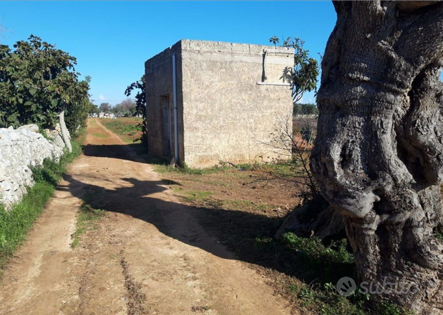 Terreno con possibilità progetto