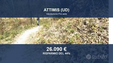 Immobile in asta di 244890 m² a Attimis