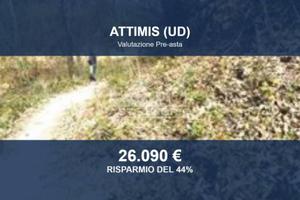 Immobile in asta di 244890 m² a Attimis