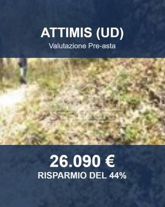 Immobile in asta di 244890 m² a Attimis