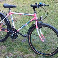 Bici ragazzi ruota da 24