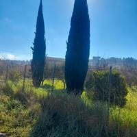 C/da San Michele zona residenziale