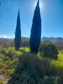 C/da San Michele zona residenziale