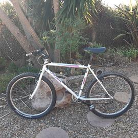 Mountan bike Viner Shamal 