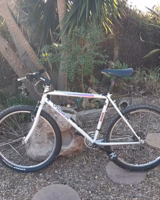 Mountan bike Viner Shamal 
