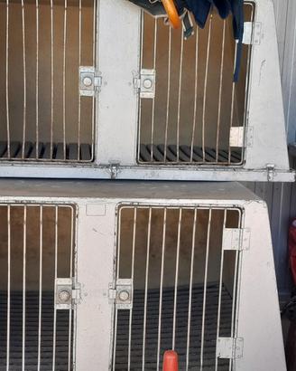 autobox per cani