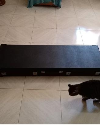 Custodia rigida professionale tastiera