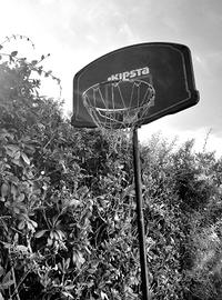 Canestro basket