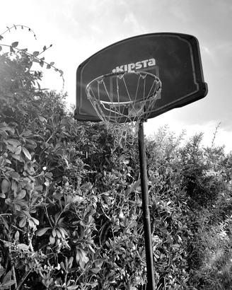 Canestro basket