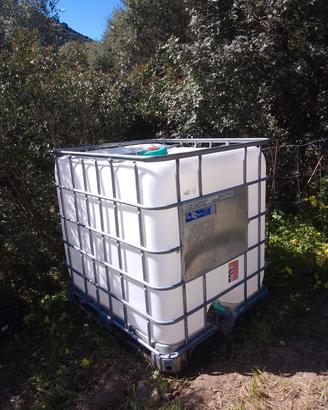 cisterna  Ibc 1000 litri