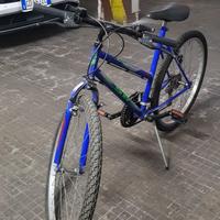 bicicletta uomo color blu