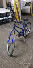 bicicletta uomo color blu