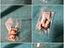 Immagine 1