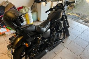 Harley davidson iron 883 2019