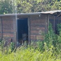 casetta legno di abete