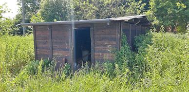 casetta legno di abete