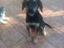 Immagine 5