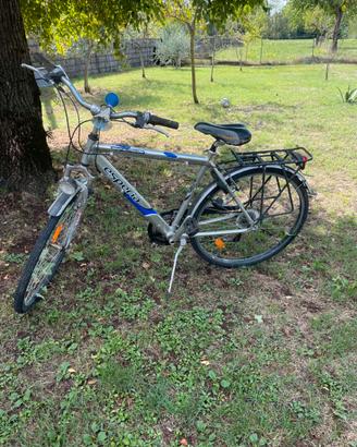 Bicicletta uomo