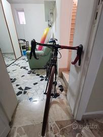 Bici corsa olmo