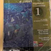 Nuova Matematica a colori Vol.1 - EDIZIONE VERDE