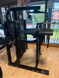 Triceps extension lifefitness