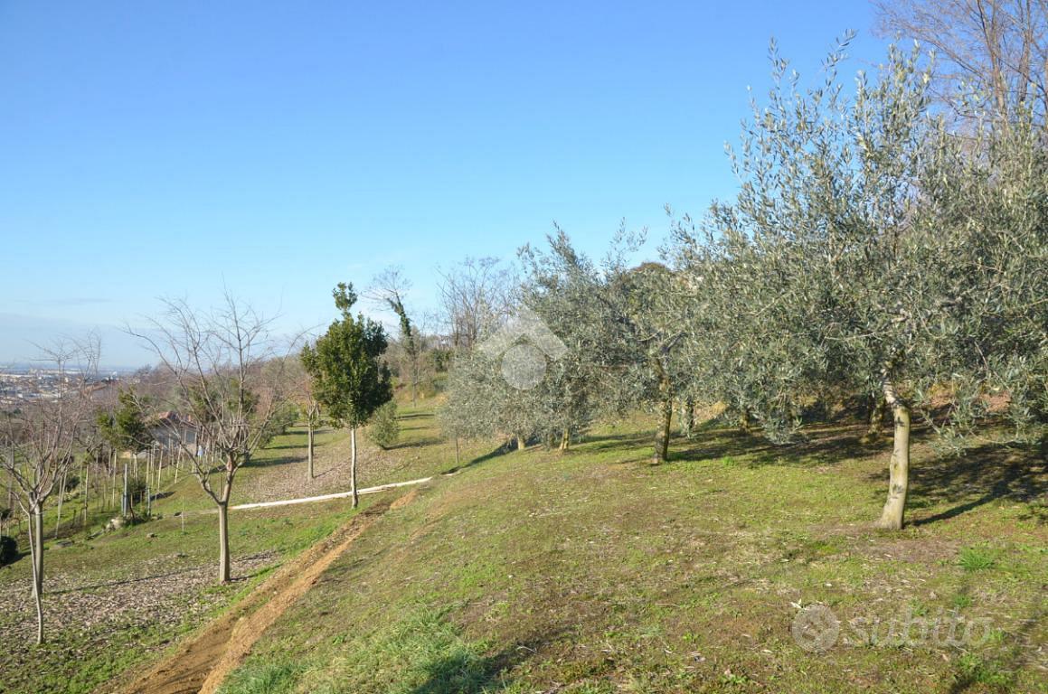 TER. AGRICOLO A CASTELLI CALEPIO - Altro