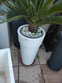 Vaso fioriera marca Kloris bianco di design h 70cm