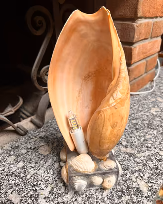 Lampada da Tavolo -Vera Conchiglia Nobilis Gigante