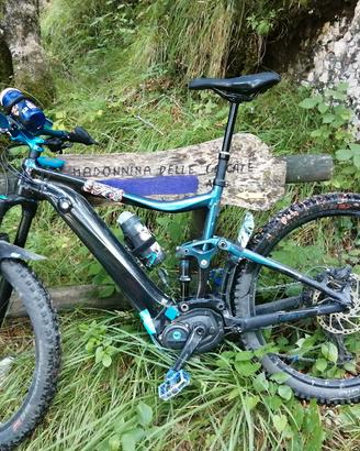 bici e-bike GIANT