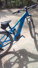 ebike