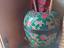 Immagine 26