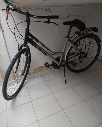 Bici regina