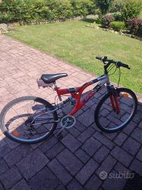 Bicicletta raggio 26 