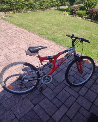 Bicicletta raggio 26 