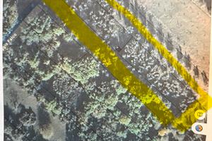 Terreno di circa 2.000 mq con 60 piante di ulivi