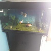 acquario completo wawe 80 classic 