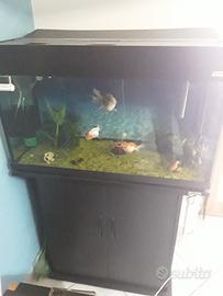 acquario completo wawe 80 classic 