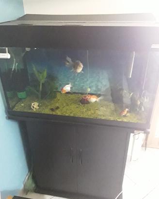 acquario completo wawe 80 classic 