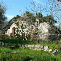 Trulli con ampio terreno