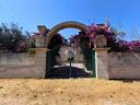 villa-singola-a-porto-cesareo