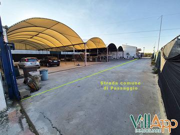 Terreno Agricolo - Fondi