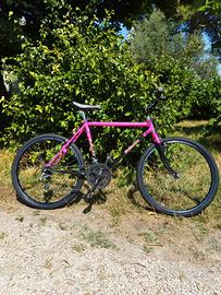 Bicicletta panda