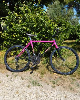 Bicicletta panda