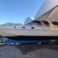 Squalo 35