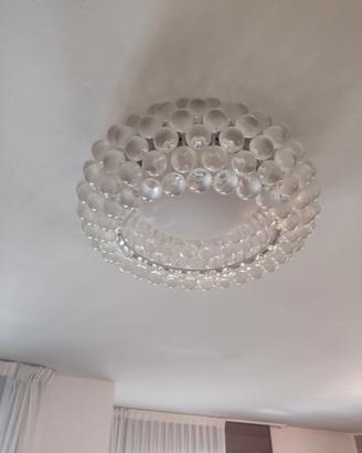 2 Caboche Foscarini
