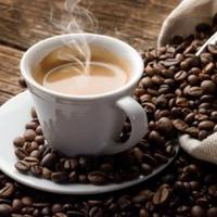 Livorno bar zona semicentrale