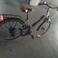 Bici Elettrica