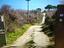 Immagine 6