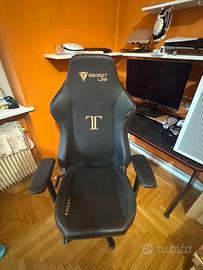 Sedia gaming
